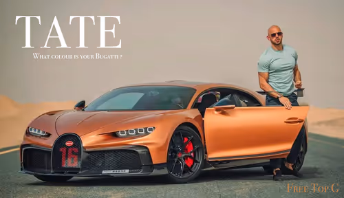 Item #48817016868112152716363427426781564827521607120618652118531562263124025278964 Media