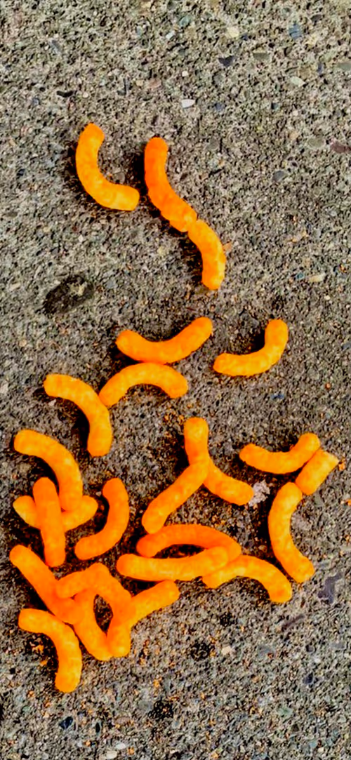 Item #82397839135210599313625755146456009176587731448565064934244969143461530828801 Media