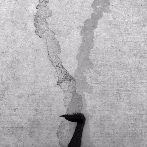 Item #56431751608181922231259635946092067407977788553703326303680802264571246018561 Media