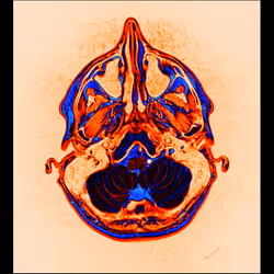 64162533542198579898252916190583583845604629893829087458582975721603250257921