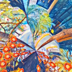 New Perspective