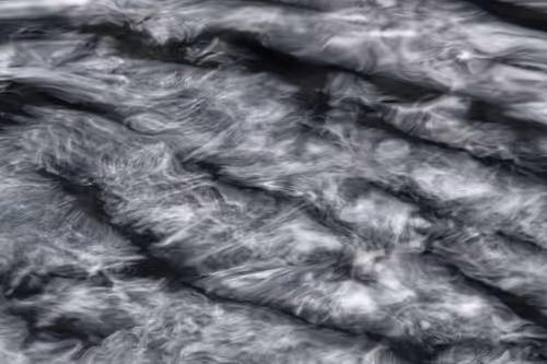 Item #81441334517361708208394031135700195474624799851237506988747107956801620934657 Media