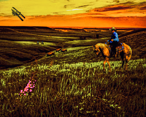 The Outlaw Collection