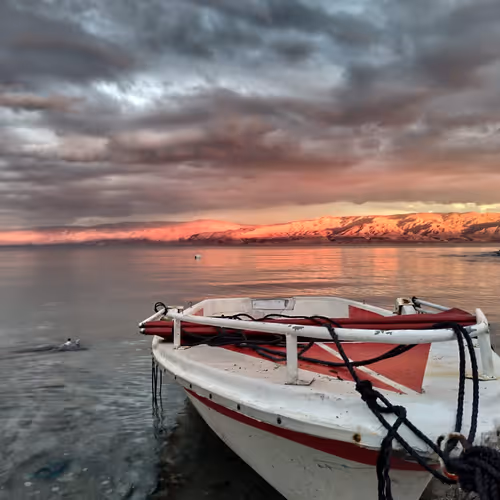 Untitled Collection #184295925