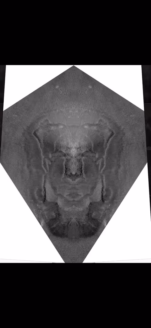 Item #33424074541800352070462266971808427791535706258347176055473549324836398956545 Media