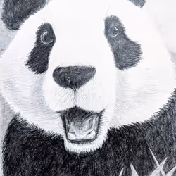 44465249674177750823554344521383022480736477502271812972114610373566742397928