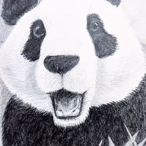 44465249674177750823554344521383022480736477502271812972114610373566742397928