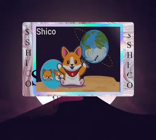 ShibaCorgi Collection