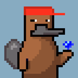 Platy Punk #2196