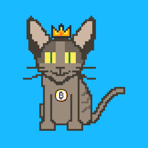 Cryptorobocat Wtm9GNHTED