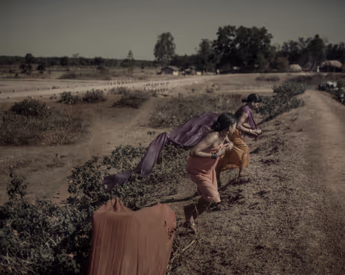 Item #80141737210111839928667523403933295145384279437019335330195524804967456047105 Media