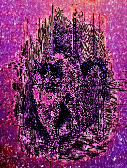 Item #35247308013863639916483757756408588227786114589757564733366544625416445886494 Media