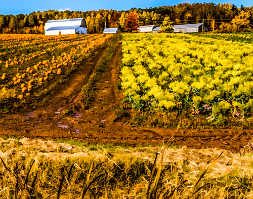 Item #52186198635424597728176025515183066148153471361030465447758552333617884823553 Media