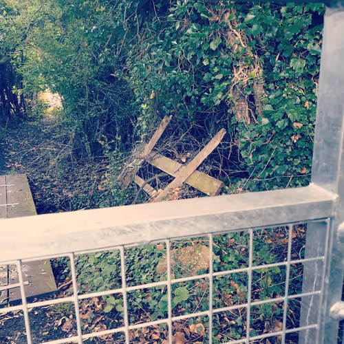 Item #105237010342582609876748436582366170093723610565651913513256945305075077611521 Media