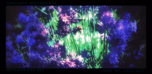 Item #3787080761074609709675817509753112159059746763483256848434353578687128928261 Media