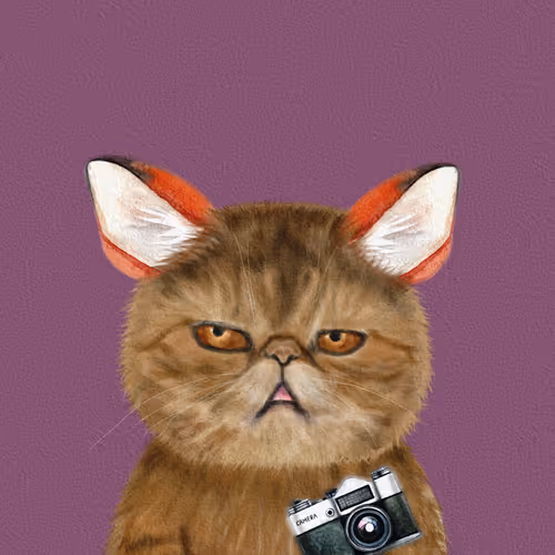 Item #63588752515642770477067191287288803913526852218898202821012584839820479561729 Media