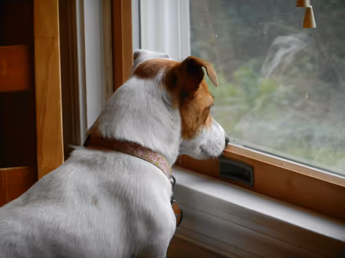 Item #5985210497355107417265215381210579199842884272282595265964883430901656059905 Media