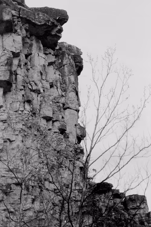 Item #102681073820549918018156706383720612658195698549287552323172903089549745324033 Media