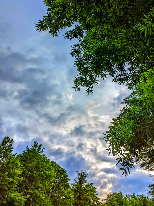 Item #27225571184788260604984224055988062336080108645856878845642875101601756872705 Media