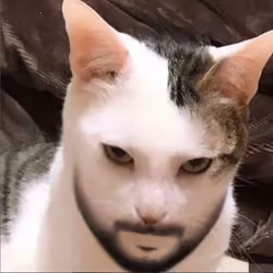 giga chat
