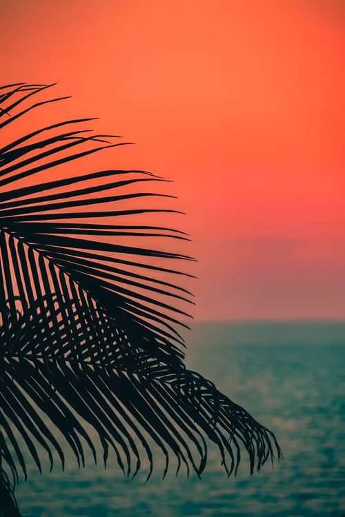 Somewhere Else: 073 - Ocean Breeze