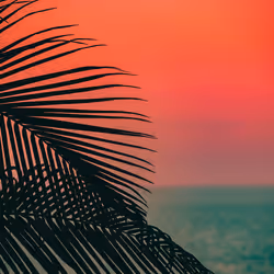 Somewhere Else: 073 - Ocean Breeze