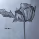 My Handmade Drawings