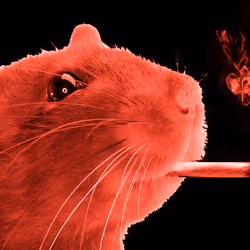 Punk Red Rat