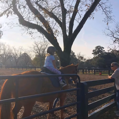 PAPA Horse