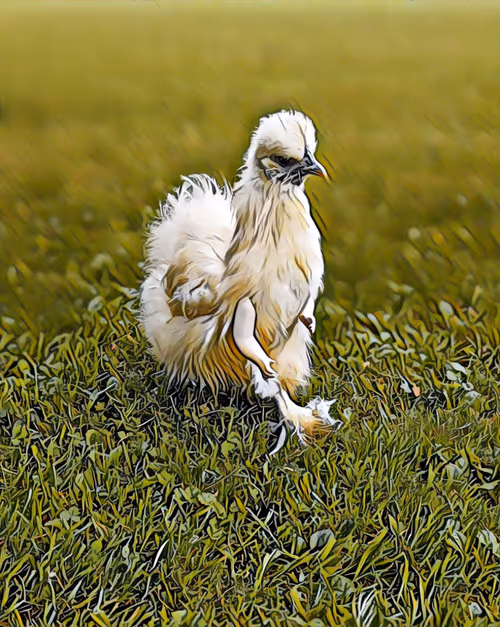 Item #12986001583624842443475589555777676835882886084855718816066093924663376740353 Media