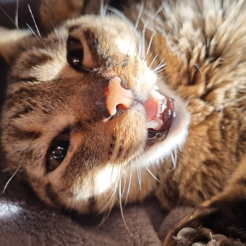 Untitled Collection #162602931