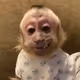 92905879186035547699453445542089769003401464275785459747433711566110188371969