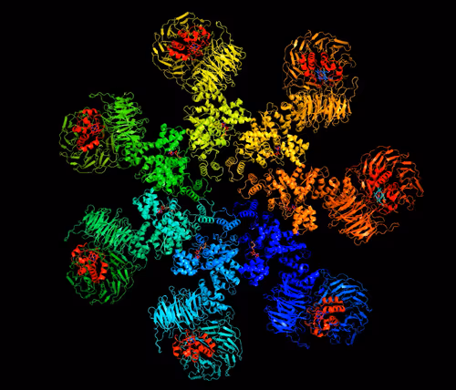 Item #91021316162032165600416815327123039723532435279912438808296376725849772130305 Media