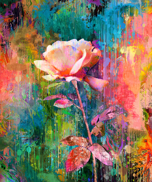 Item #72265668148389909526692948266359502736940339409835531939414465353881680347137 Media