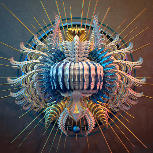 Mueo Digital - Physical