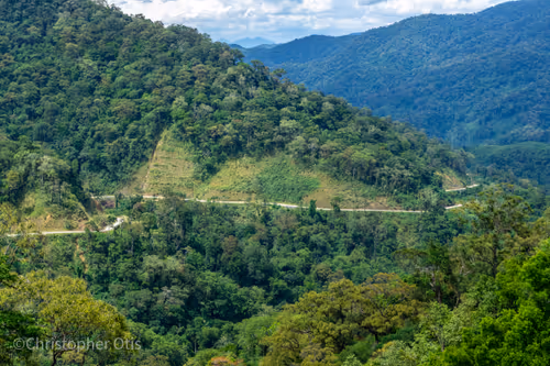 Item #93238693635763312978274944794254401543186229116304527122030010264960479789057 Media