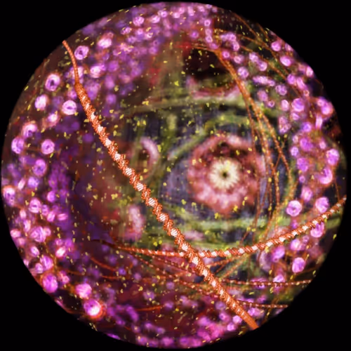 Item #49094267518849766728459320439263364163524723488724265765002212413597561126913 Media