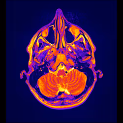 64162533542198579898252916190583583845604629893829087458582975775479320018945