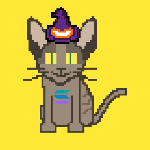 Cryptorobocat Wtm9GNHTED