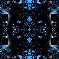 81335810380546067592074661371981709571494442828138360360358581739749776556033