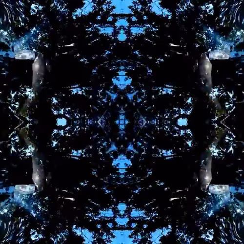 81335810380546067592074661371981709571494442828138360360358581739749776556033