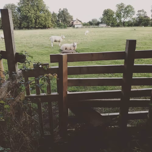 Item #105237010342582609876748436582366170093723610565651913513256945297378496217089 Media