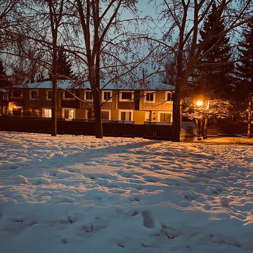 Untitled Collection #168982460