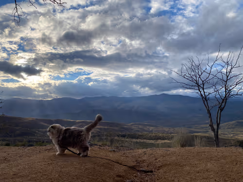 Item #88063557034118437660925886446302507819426649905583175627315428966305955315713 Media