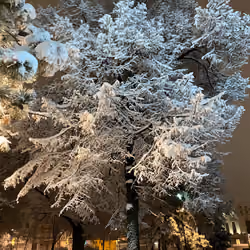 It's a Winter-ful life