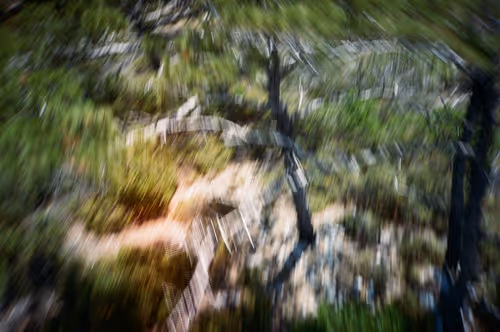 Item #38495668349306452240688866721683925223246116077147746545727998323860676018276 Media