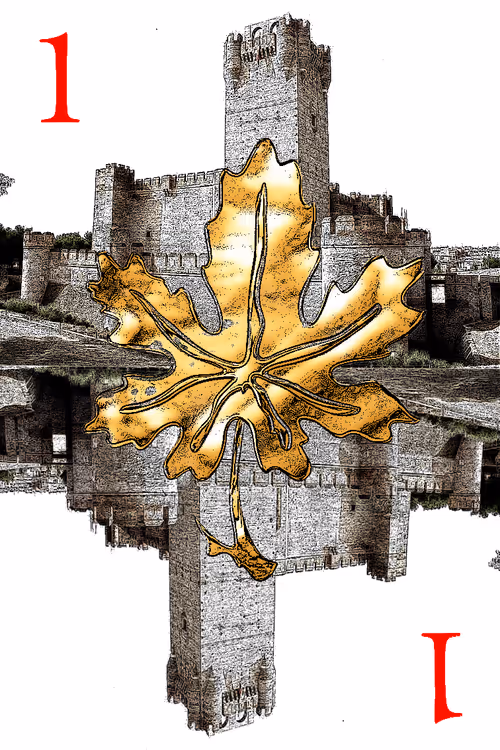 Item #725871994361601053273897083725667630871827410788579972353670404293410160641 Media