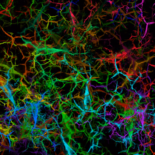 Item #50918555062582210159273167721725581522404743190091886750106034871798492823553 Media