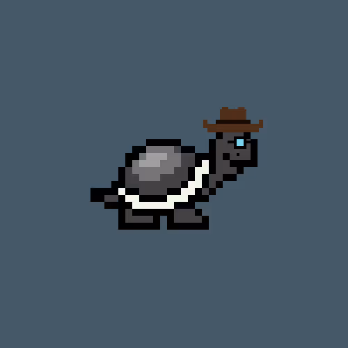 Timidturtles