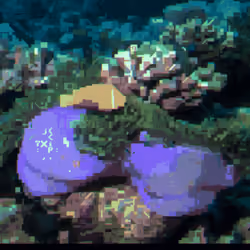 Maldivian coral reef #1